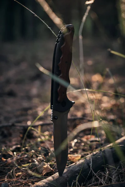 Tactical knife for survival and protection in difficult conditions, stuck tree branch forest