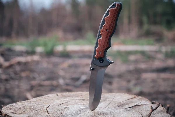 Tactical knife for survival and protection difficult conditions, stuck in the stump sawn tree in forest