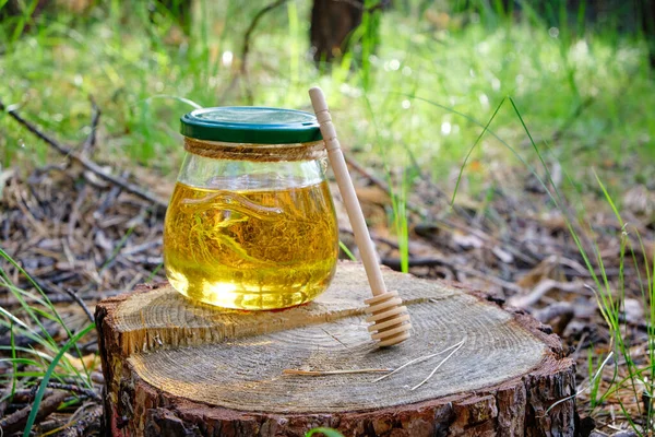 Pot Honing Lepel Voor Honing Het Bos Stronk — Stockfoto