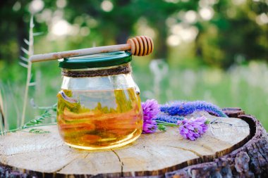 Kavanozda bal ve kaşık ormanda çayırda çiçeklerle birlikte.