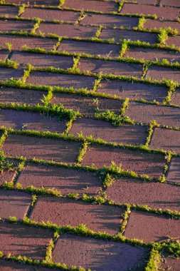 Eski kaldırım taşlarının arasından yeşil çimenler filizleniyor.