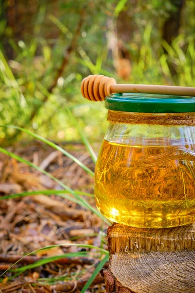 Jar honey and spoon for honey in forest on stump