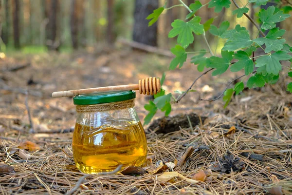 Potje Verse Honing Lepel Voor Honing Het Bos — Stockfoto