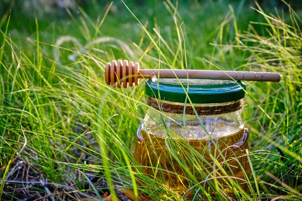 Бочонок Меда Ложки Меда Летом Зеленой Травы — стоковое фото
