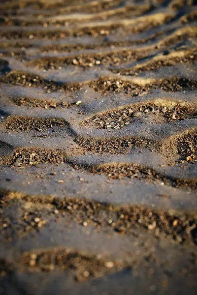 Achtergrond Textuur Zandbodem Gedroogde Zee — Stockfoto