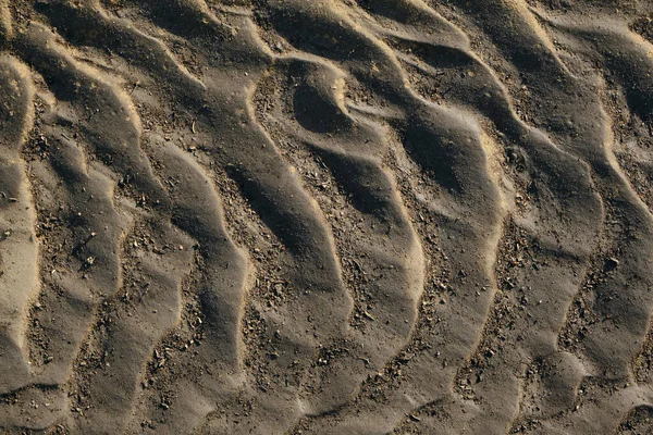 Background Texture Sandy Bottom Dried Sea — Stockfoto