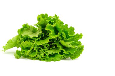 Green leaves fresh lettuce white background