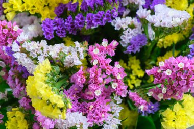 Abstract, summer background with bright multicolored flowers