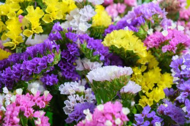 Abstract, summer background with bright multicolored flowers