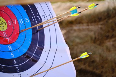 Archery targets with arrows stuck in