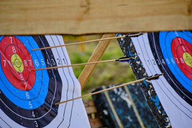 Archery targets with arrows stuck in