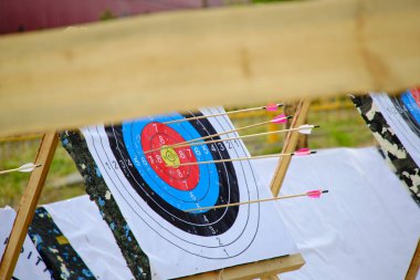 Archery targets with arrows stuck in