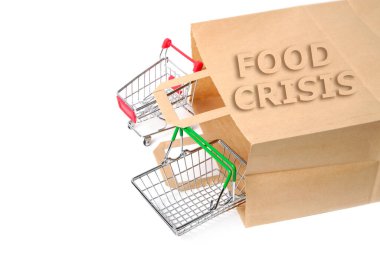Cart and basket in paper grocery bag with inscription food crisis on white background.Concept of scarcity and high cost food