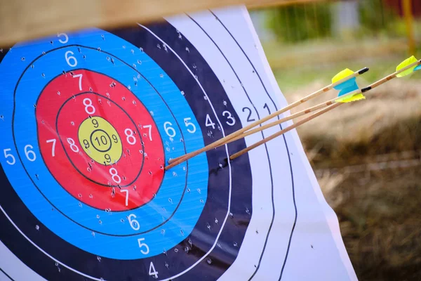 Archery targets with arrows stuck in