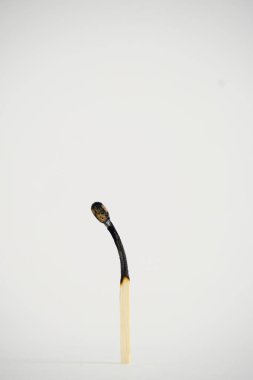 Standing burnt match on a light background