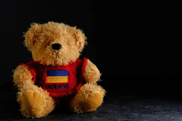 Soft toy on a black background, bear red jacket with flag Ukraine depicted on it