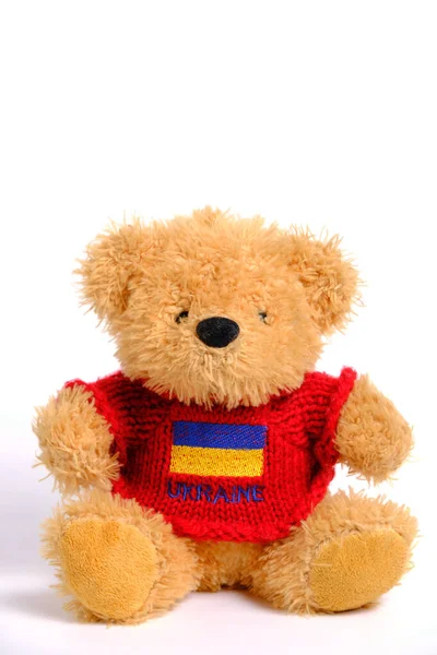 Soft Toy White Background Bear Red Jacket Flag Ukraine Depicted — Stockfoto