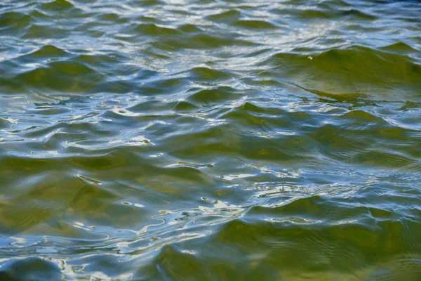 Background Texture Surface Reservoir Transparent Green Water — Stockfoto