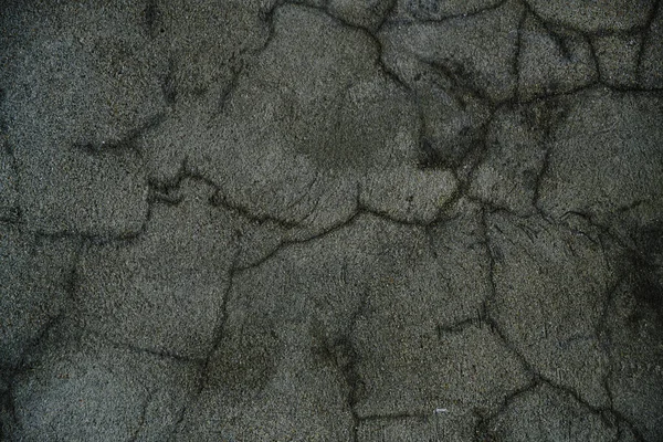 Texture Concrete Surface Cracks Moisture Ingress — Stockfoto