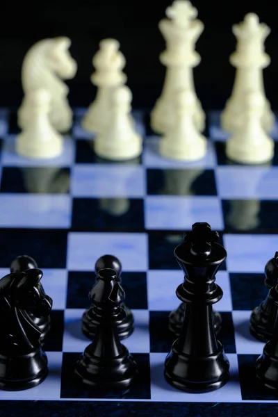 Black White Chess Pieces Chess Board Royalty Free Stock Images