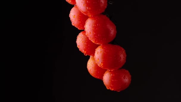 Kirschtomaten Tropfen Wasser Dunkler Hintergrund — Stockvideo