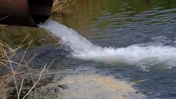 Draining Sewage Pipe River Pollution Rivers Ecology — Stock Video