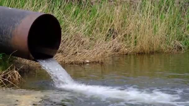 Draining Sewage Pipe River Pollution Rivers Ecology — Stockvideo