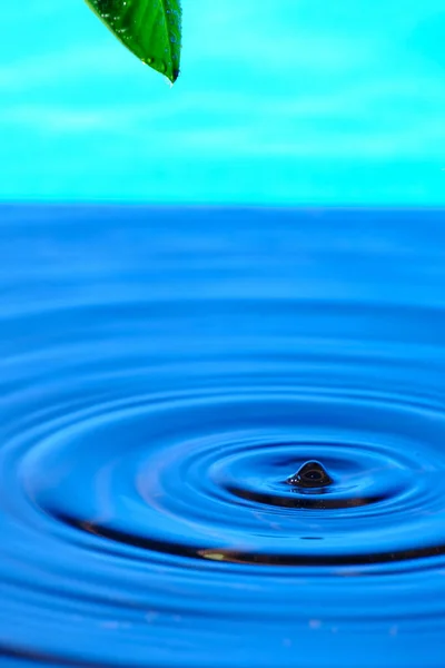 Dripping Drops Water Green Leaf Water — Fotografia de Stock