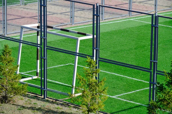 Kapılı Futbol Sahası Taze Yeşil Çimenler — Stok fotoğraf