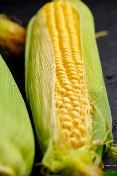 Ear Raw Ripe Corn Dark Background Closeup — Stock Photo, Image