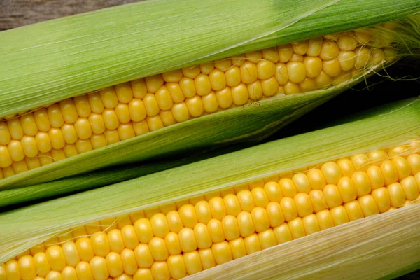 Background Two Ears Corn Closeup — Stock Photo, Image