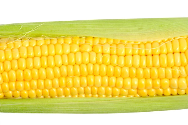 One Ears Ripe Corn White Background — Stock Photo, Image