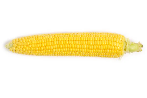 Jedno Ucho Zralý Kukuřice Bílé Pozadí — Stock fotografie