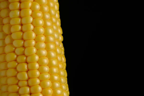 Ear Raw Ripe Corn Dark Background Closeup — Stock Photo, Image