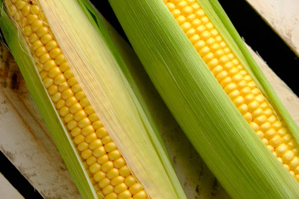 Two Ripe Ears Corn Wooden Background — Stock Photo, Image