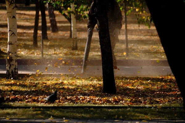 Працівник Очищає Тротуар Від Опалого Осіннього Листя Парку — стокове фото
