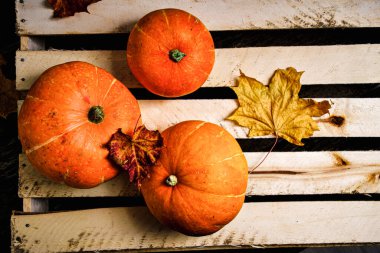 Balkabakları ve düşen sonbahar yaprakları tahta arka planda kutuda