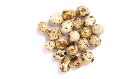 Bir sürü bıldırcın yumurtası.