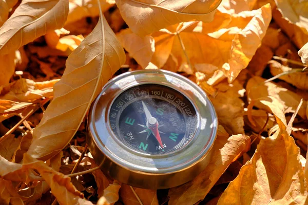 Compass lying in yellow autumn foliage.Concept recreation, travel, and tourism