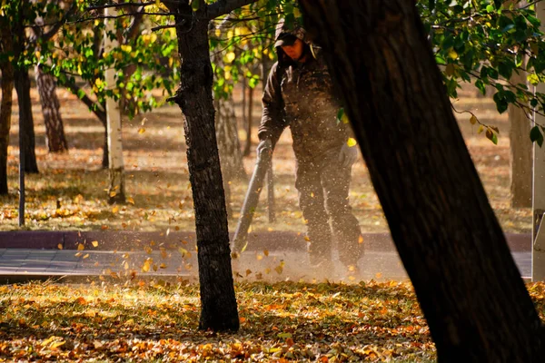 Empregado Limpa Calçada Com Ventilador Folhas Outono Caídas Parque — Fotografia de Stock