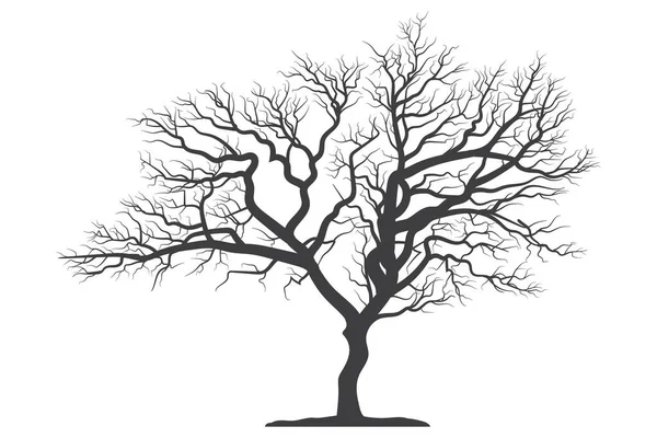 Ужасный Силуэт Мёртвого Дерева — стоковый вектор