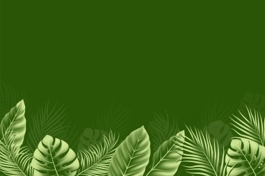 Gerçekçi tropikal yapraklı yaz arkaplanı