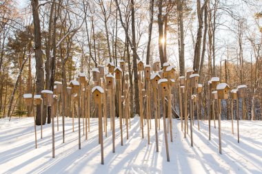 Birçok kuş eviyle kış manzarası