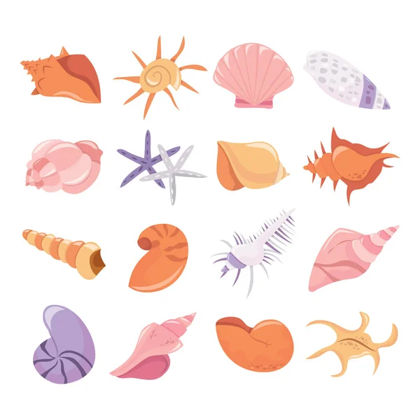 様々な貝殻がセットされた漫画のベクトルイラスト — ストックベクタ