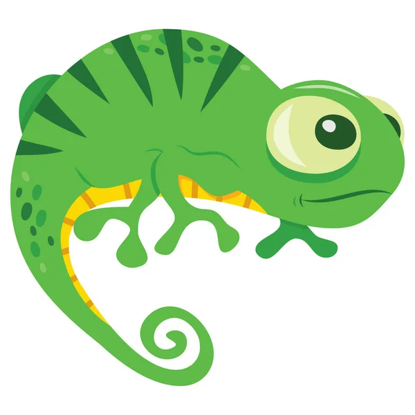 Illustration Vectorielle Dessin Animé Joli Lézard Caméléon Vert — Image vectorielle