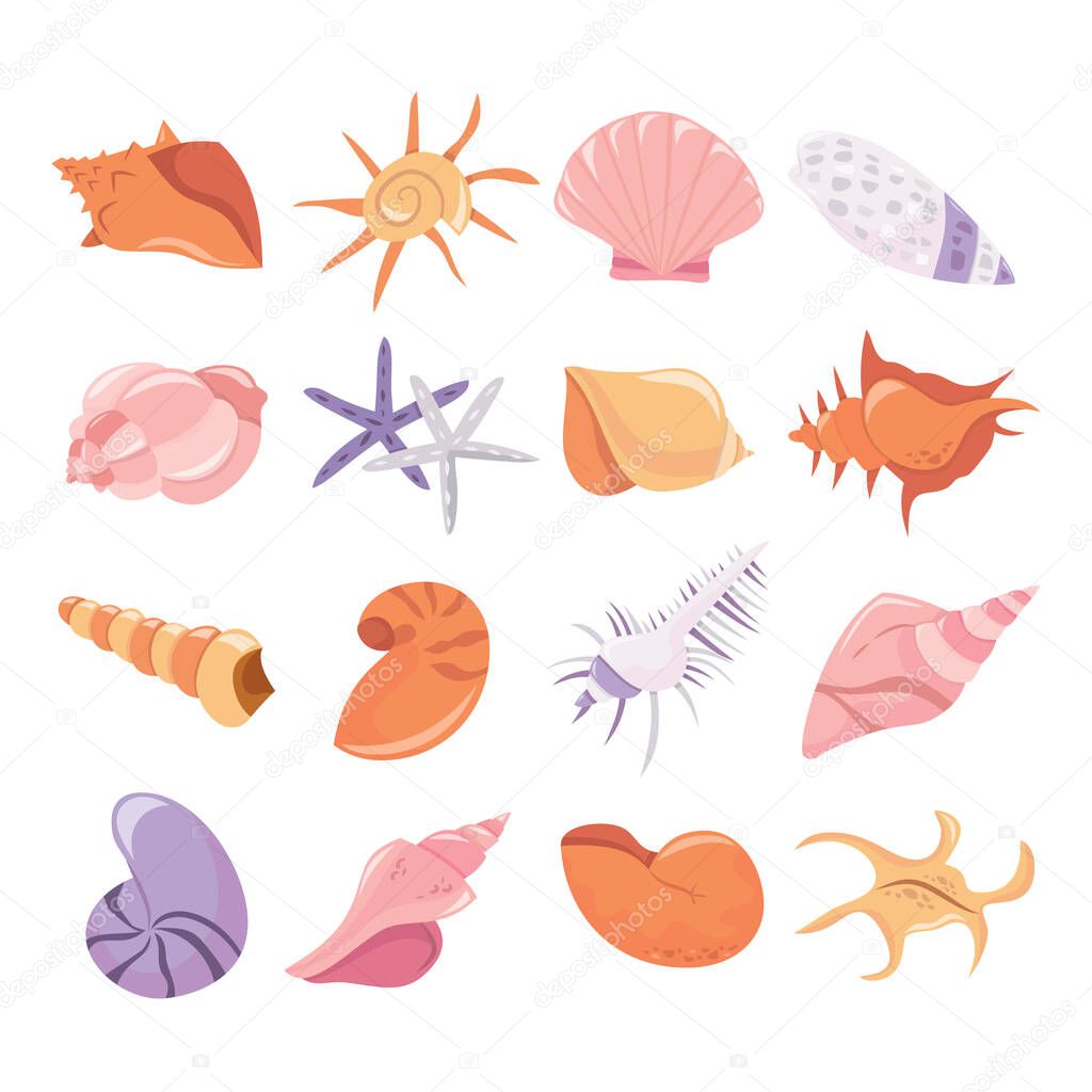 A cartoon vector illustration of various seashells set.