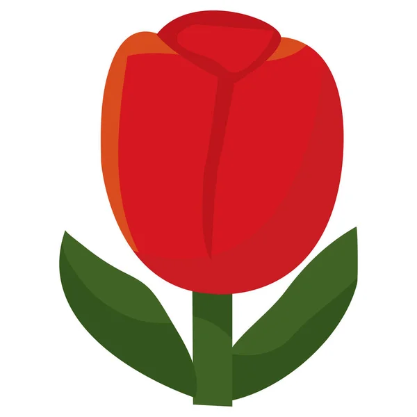 Eine Cartoon Vektorillustration Einer Roten Tulpe — Stockvektor