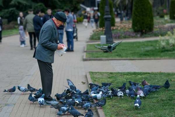 04.20.2021 Sochi Rússia. Um homem idoso alimenta pombos com pão — Fotografia de Stock