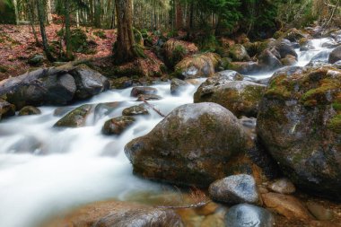 Dağ nehrindeki büyük kayalar..