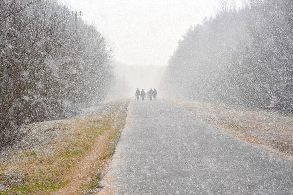 Zware sneeuwval op een wandelpad in het bos. — Stockfoto
